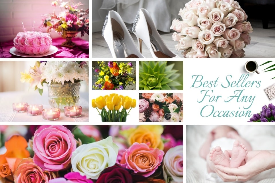Flower Delivery Sylvania Ohio Best Flower Site
